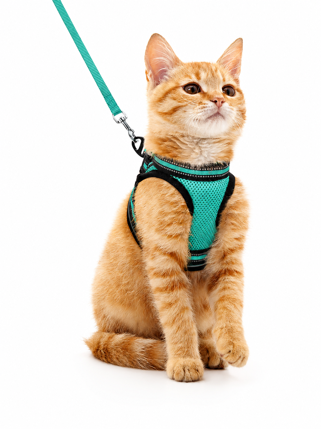 Cat Harness and Leash Set for Cats for Safe Night Walks