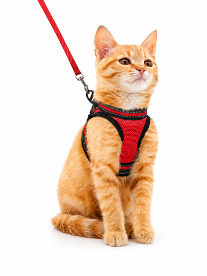 Cat Harness and Leash Set for Cats for Safe Night Walks