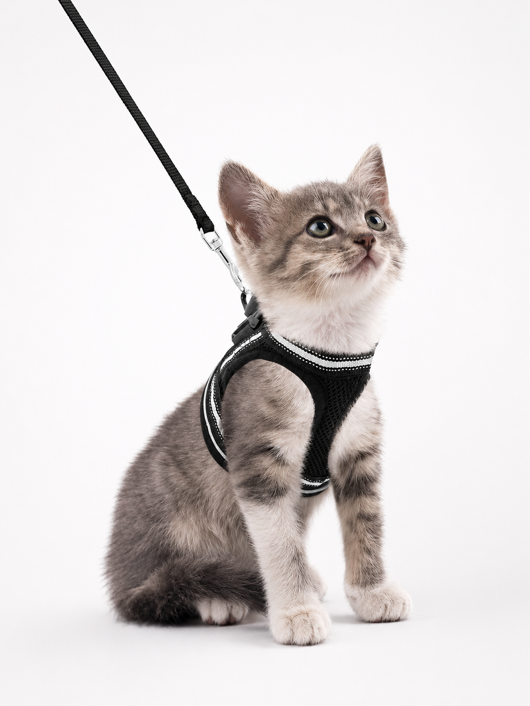 Cat Harness and Leash Set for Cats for Safe Night Walks