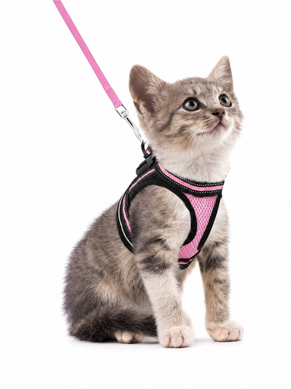 Cat Harness and Leash Set for Cats for Safe Night Walks
