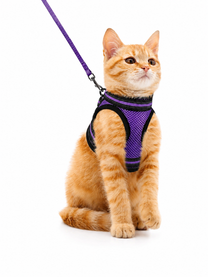 Cat Harness and Leash Set for Cats for Safe Night Walks